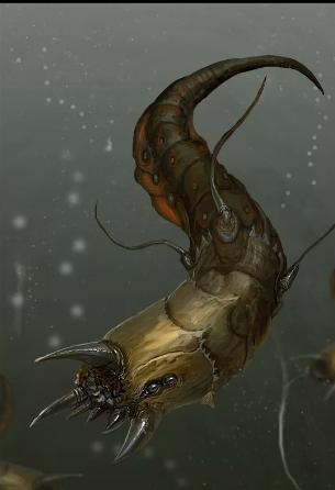 lyarva3