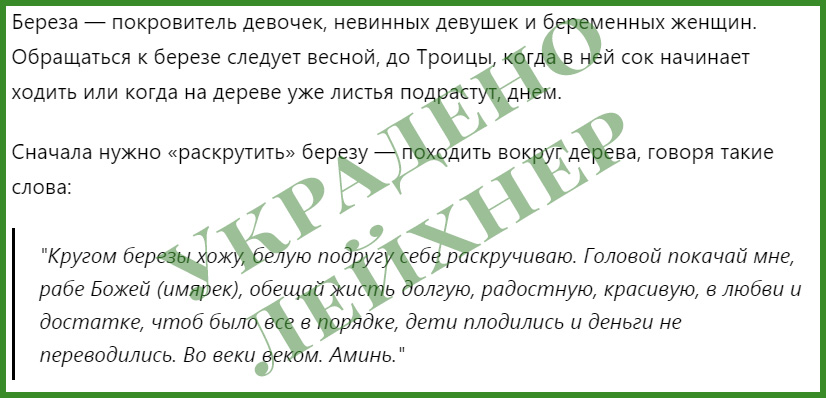 2024 01 31 13 09 23 zagovory na berezu dlya semejnogo schastya
