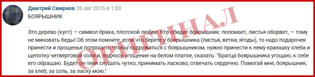 2024 01 31 13 22 17 zagovory na derevya vkontakte