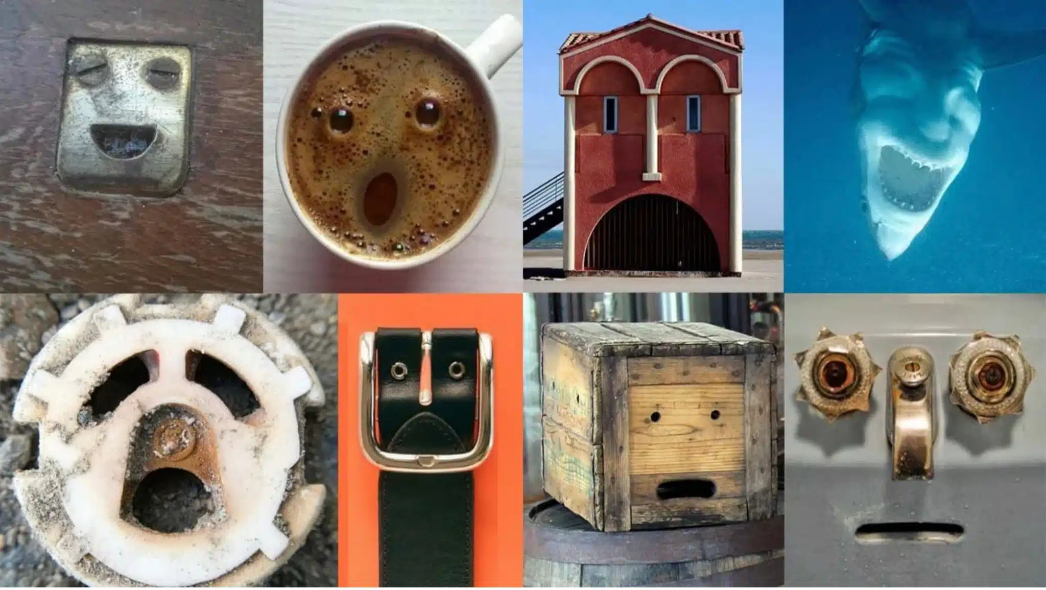 dzen 1a6218d511 scaled