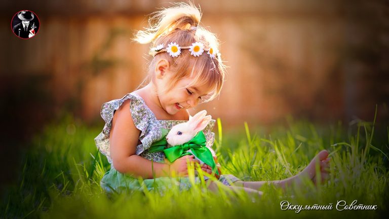 dzen_339e7a7354