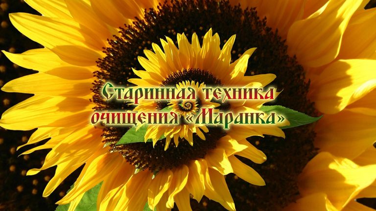 dzen_46f2d66b79