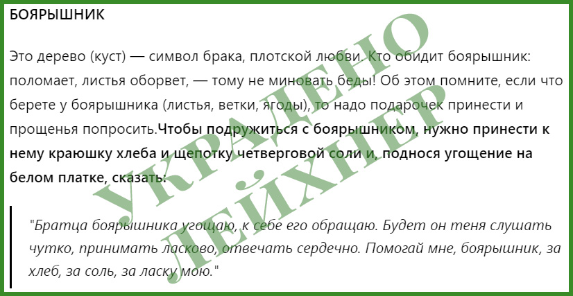dzen c08ee53111