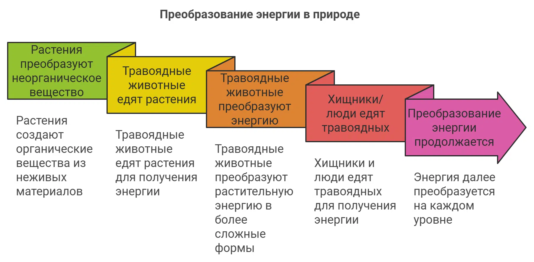 © Оккультный Советник Арт.