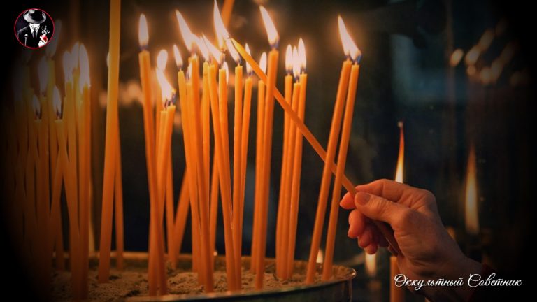 dzen_d309610802