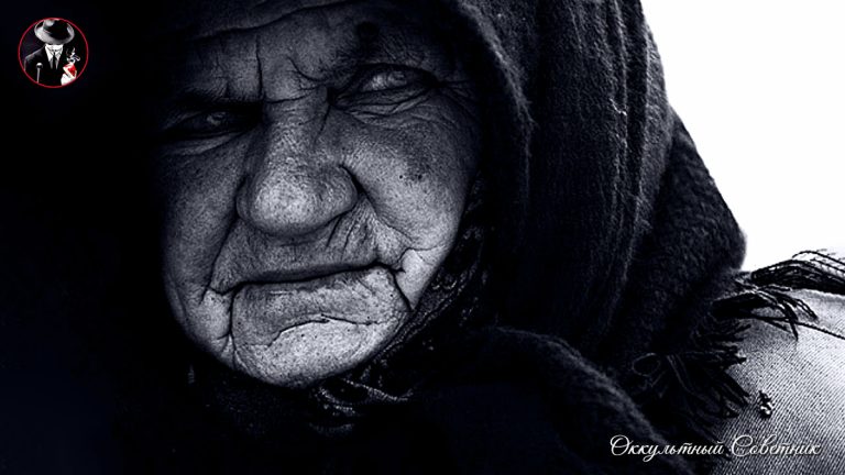 dzen_d506759340