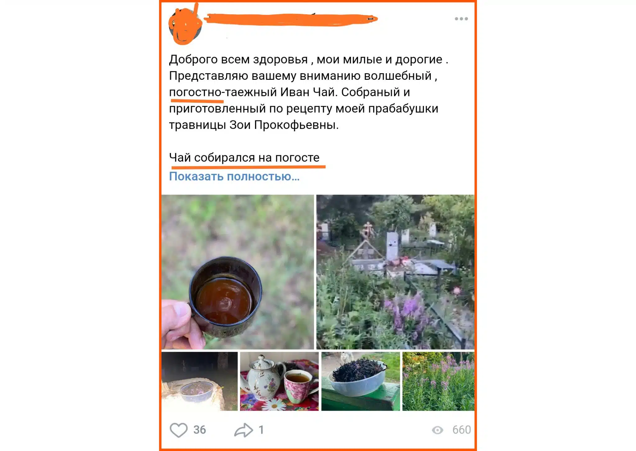 dzen e71eda56e6 scaled