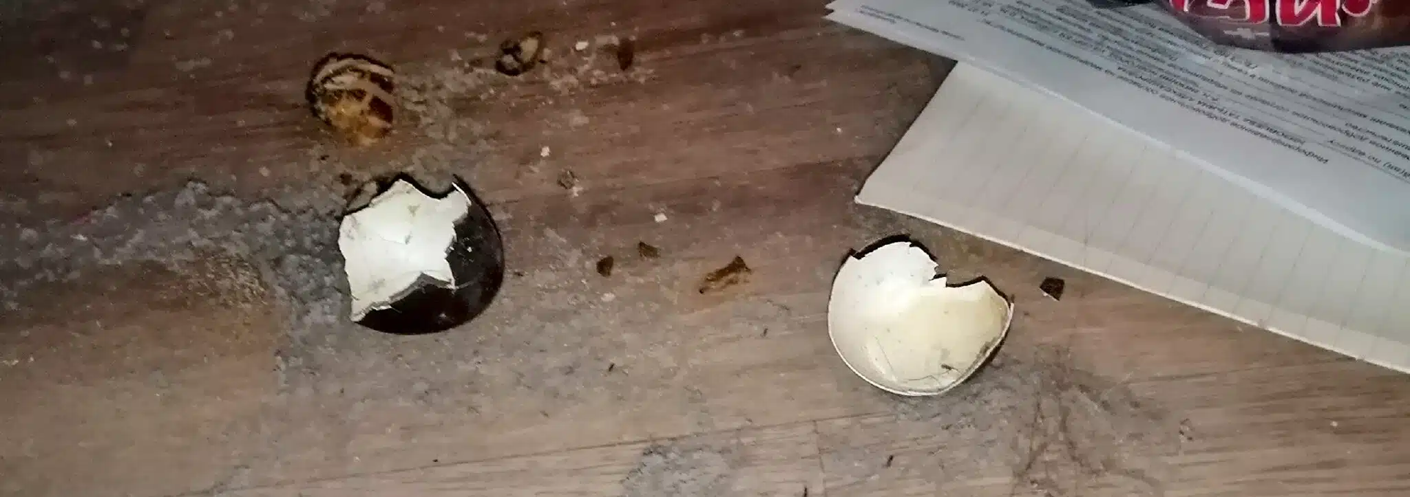 dzen bdd091f49f scaled